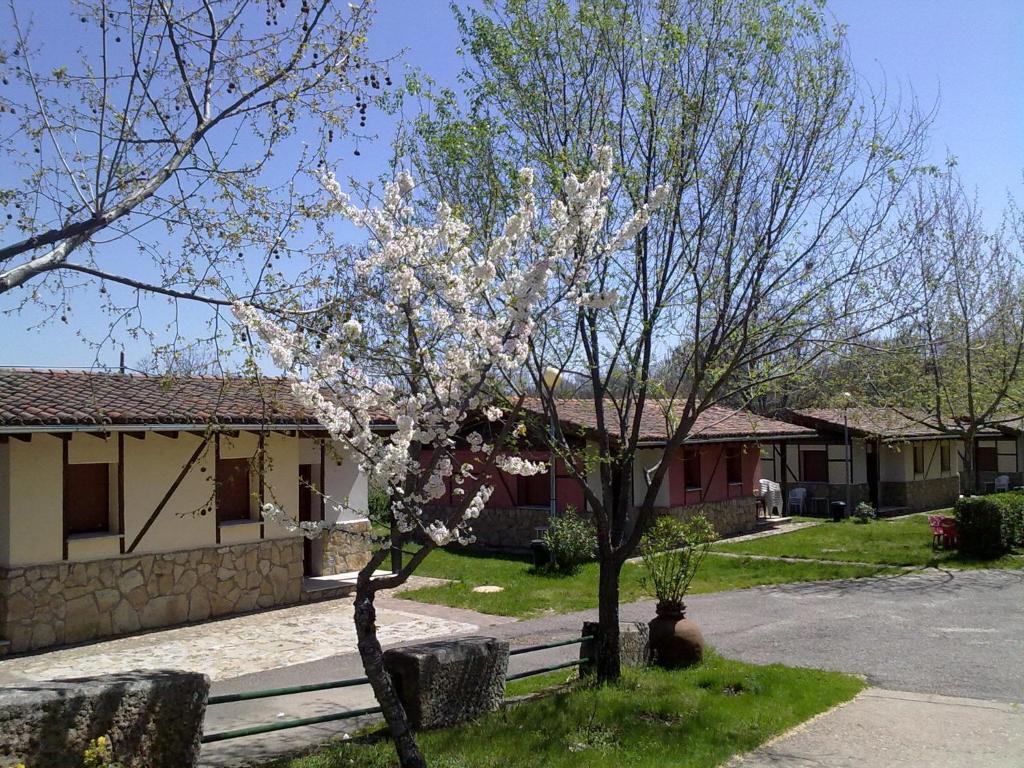Camping Al-Bereka La Alberca  Kamer foto